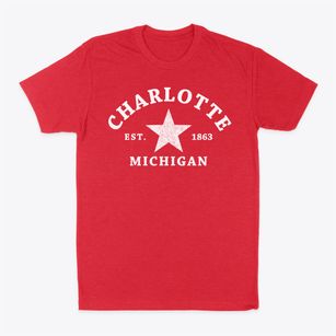 Charlotte Michigan Star Classic Dad T-Shirt