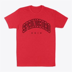 Springboro Ohio Inline Classic Dad T-Shirt