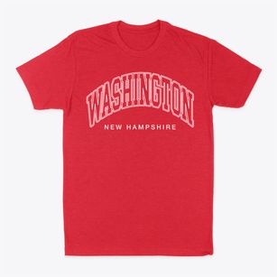 Washington New Hampshire Inline Classic Dad T-Shirt