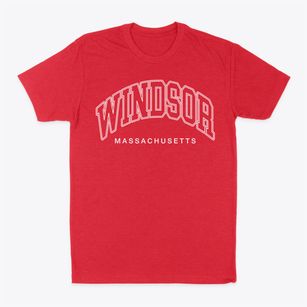 Windsor Massachusetts Inline Classic Dad T-Shirt