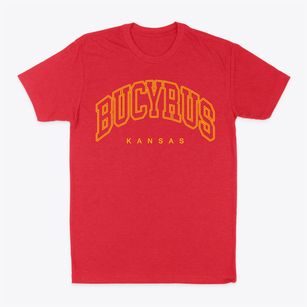 Bucyrus Kansas Inline Classic Dad T-Shirt