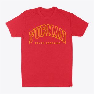 Furman South Carolina Inline Classic Dad T-Shirt