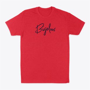 Bigelow Minnesota Freestyle Classic Dad T-Shirt