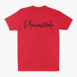 Pleasantdale New York Freestyle Classic Dad T-Shirt