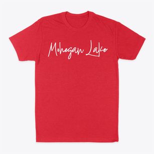 Mohegan Lake New York Freestyle Classic Dad T-Shirt