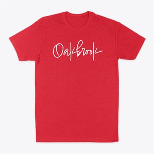 Oakbrook New York Freestyle Classic Dad T-Shirt