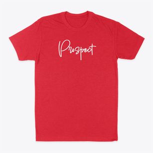 Prospect Pennsylvania Freestyle Classic Dad T-Shirt