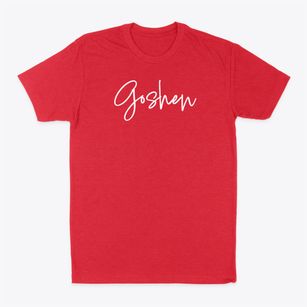 Goshen Ohio Freestyle Classic Dad T-Shirt