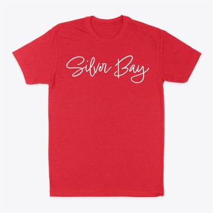 Silver Bay New York Freestyle Classic Dad T-Shirt