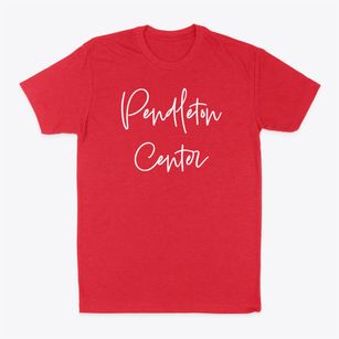 Pendleton Center New York Freestyle Classic Dad T-Shirt