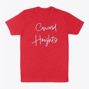 Concord Heights New Hampshire Freestyle Classic Dad T-Shirt
