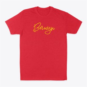 Berwyn Illinois Freestyle Classic Dad T-Shirt
