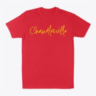 Chandlerville Illinois Freestyle Classic Dad T-Shirt