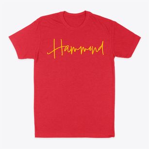 Hammond Indiana Freestyle Classic Dad T-Shirt
