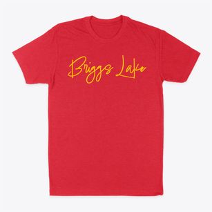 Briggs Lake Minnesota Freestyle Classic Dad T-Shirt