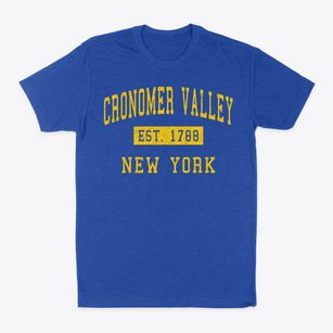 Cronomer Valley New York Classic Established Classic Dad T-Shirt