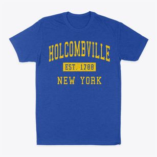 Holcombville New York Classic Established Classic Dad T-Shirt