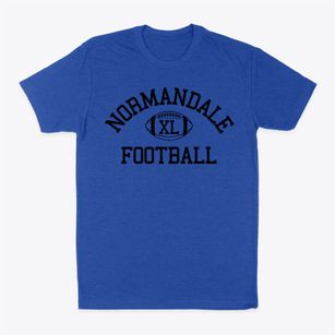 Normandale French Emersion School Classic Football Classic Dad T-Shirt