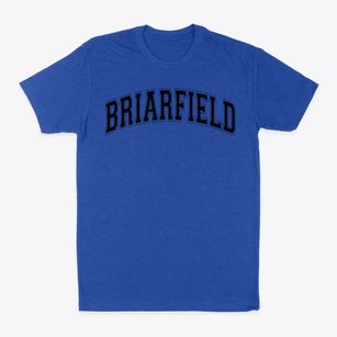 Briarfield Elementary School Varsity Arch Classic Dad T-Shirt
