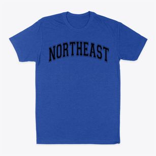 Northeast International Magnet School Varsity Arch Classic Dad T-Shirt