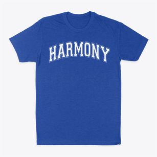 Harmony School Of Innovation Varsity Arch Classic Dad T-Shirt
