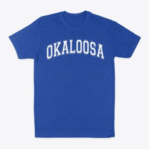 Okaloosa Academy Charter School Varsity Arch Classic Dad T-Shirt