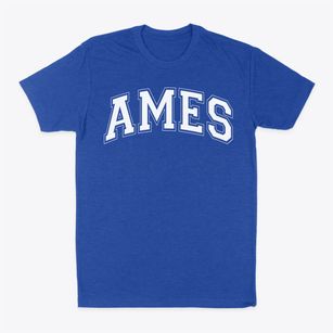 Ames Elementary School Varsity Arch Classic Dad T-Shirt