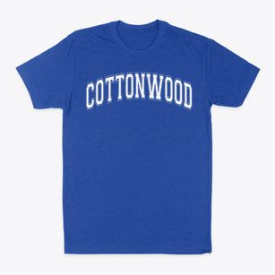 Cottonwood Elementary School Varsity Arch Classic Dad T-Shirt
