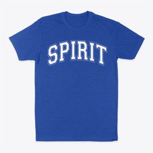 Spirit Academy Varsity Arch Classic Dad T-Shirt