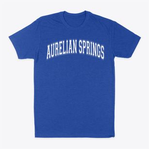 Aurelian Springs Elementary School Varsity Arch Classic Dad T-Shirt