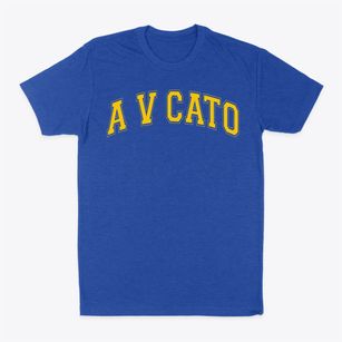 A V Cato Elementary School Varsity Arch Classic Dad T-Shirt