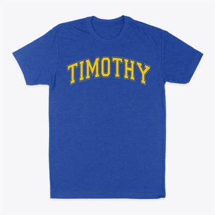 Timothy Christian Junior High School Varsity Arch Classic Dad T-Shirt