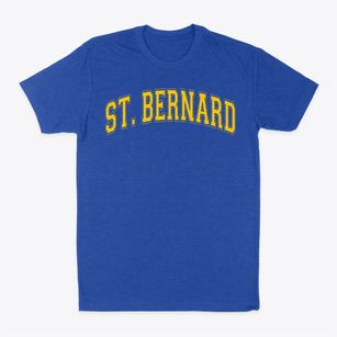 Saint Bernard Academy Varsity Arch Classic Dad T-Shirt