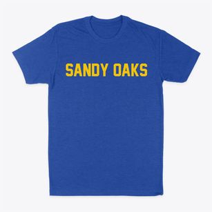 Sandy Oaks Texas Classic Block Classic Dad T-Shirt