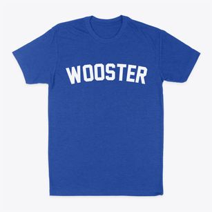 Wooster Ohio Classic Curve Classic Dad T-Shirt