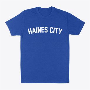 Haines City Florida Classic Curve Classic Dad T-Shirt