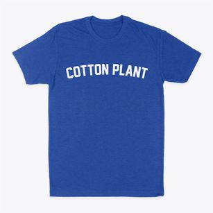 Cotton Plant Arkansas Classic Curve Classic Dad T-Shirt
