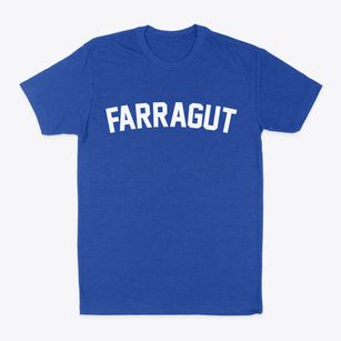 Farragut Iowa Classic Curve Classic Dad T-Shirt