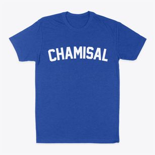 Chamisal New Mexico Classic Curve Classic Dad T-Shirt