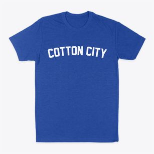 Cotton City New Mexico Classic Curve Classic Dad T-Shirt