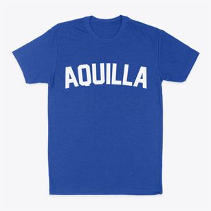 Aquilla Texas Classic Curve Classic Dad T-Shirt