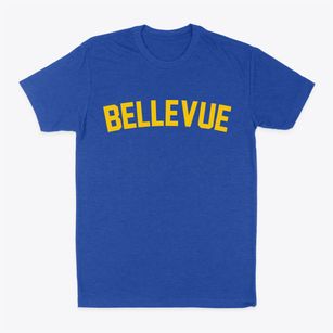 Bellevue Idaho Classic Curve Classic Dad T-Shirt