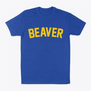 Beaver Wisconsin Classic Curve Classic Dad T-Shirt