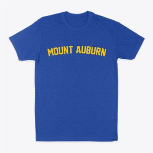 Mount Auburn Iowa Classic Curve Classic Dad T-Shirt