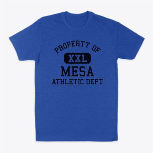 Mesa Arizona Athletic Dept Classic Dad T-Shirt