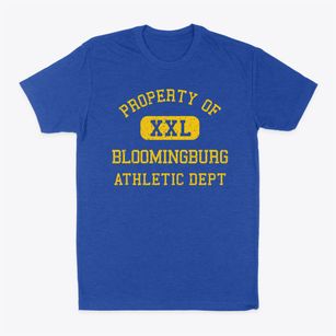 Bloomingburg Ohio Athletic Dept Classic Dad T-Shirt