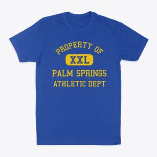 Palm Springs Florida Athletic Dept Classic Dad T-Shirt