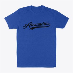 Alexandria New York Vintage Team Classic Dad T-Shirt