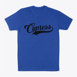 Cypress California Vintage Team Classic Dad T-Shirt