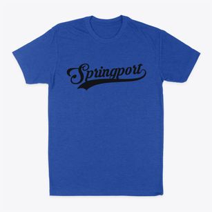Springport New York Vintage Team Classic Dad T-Shirt